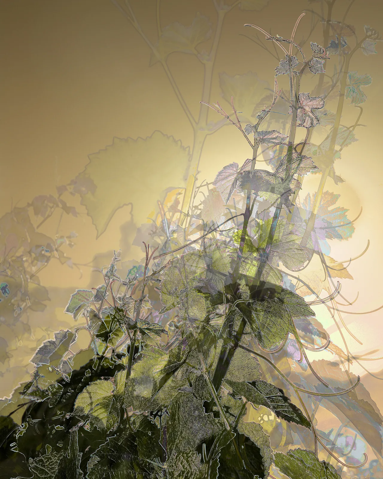 A vertical artwork placed in a residence stairwell.